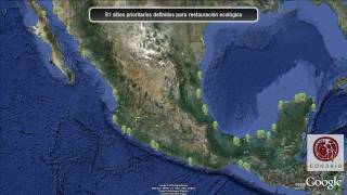 CONABIO Manglares de México [upl. by Ahsikit]