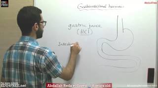 Gastrointestinal hormones  Chapter 6  Biology   عبد الله رضا MD  Rocademia روكاديميا [upl. by Nabetse108]