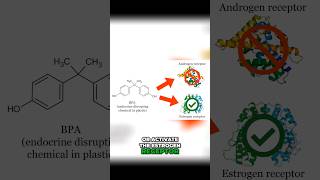 Plastic is Messing Up Your Hormones testosterone [upl. by Essiralc]