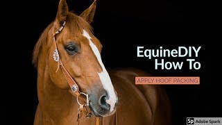 How To Apply Hoof Packing  EquineDIY [upl. by Olleina288]