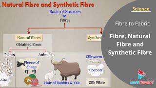 Fibre to Fabric Class 6 Science Chapter 3  Fibre Natural Fibre and Synthetic Fibre [upl. by Kellina148]