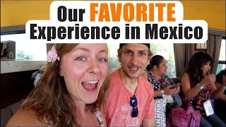 OUR FAVORITE EXPERIENCE IN MEXICO [upl. by Emmit661]