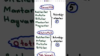 Bunları unutma parazitlik ototrof tek hücreli [upl. by Navannod]