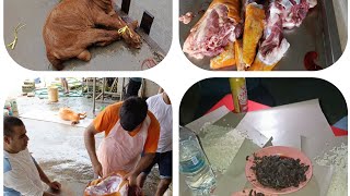 yaspali ko hamro dashin food cooking funny automobile [upl. by Stokes696]