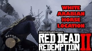 Cara Mendapatkan White Arabian Horse Kuda Tercepat  Red Dead Redemption 2 LOCATION [upl. by Nuahc164]