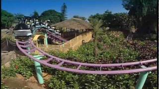 Loro Parque Puerto del Cruz Tenerife Spanien Spain [upl. by Benedicto702]