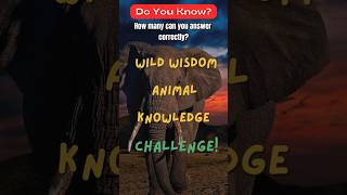 Wild Wisdom Animal Knowledge quiz onlinequiz facts [upl. by Ahsimet536]