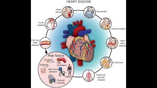 Introduction to signs and symptoms of cardiovascular system diseases [upl. by Edgardo]