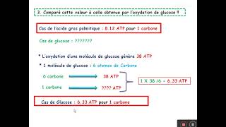 TD sur le catabolisme des acides gras [upl. by Ayekin]