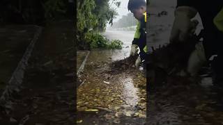 Emergency Drain Clearing Unclogging StormFlooded Streets [upl. by Ennaecarg]