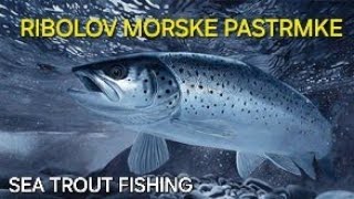 RIBOLOV MORSKE PASTRMKE  SEA TROUT FISHING [upl. by Lessirg]