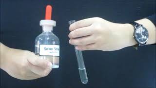 Test for anions Cl NO3 [upl. by Fabi]