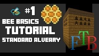 FTB Bee Basics  01  Standard Alveary [upl. by Nwahsyd775]