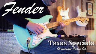 Fender Texas Special Stratocaster Pickups [upl. by Nossila]