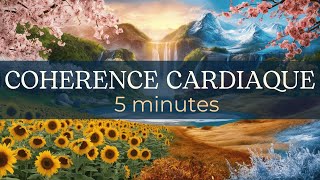 COHERENCE CARDIAQUE 5 minutes  les 4 saisons [upl. by Tychonn]