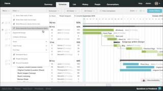 How To Customize Your View in TeamGantt [upl. by Oregolac905]