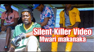 Silent Killer  Mwari makanaka Official Video 🙏🏻God is good [upl. by Akiemaj800]