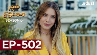 ShajareMamnu  Episode 502  Turkish Drama  Forbidden Fruit  Urdu Dubbing  21st November 2022 [upl. by Grassi]