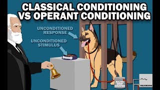 CLASSICAL VS OPERANT CONDITIONING [upl. by Kcirddet428]