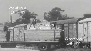 Locomotoras y trenes de los Ferrocarriles Argentinos 1973 [upl. by Justicz]