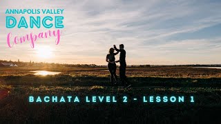 BACHATA LEVEL 2  LESSON 1  THE CROSSSTEP [upl. by Eirehc]