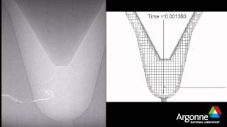 Argonne National Laboratory Needle Simulation [upl. by Mintz]