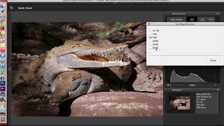 Canon Digital Photo Professional DPP 4 Software Overview and Interface Tour [upl. by Annaerdna182]