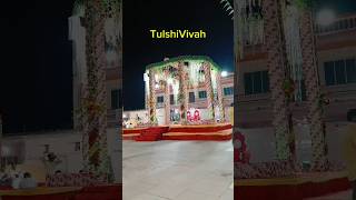 Tulsi vivah ✨🙌🌱 youtube video trending tulsivivah welcome [upl. by Letsirhc]