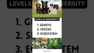 Levels of biodiversity Genetic Diversity  Species diversity  Ecosystem Diversity [upl. by Nongim]