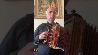 Le Reel de l’Hôtelier 16 Cajun Accordion Martin lygeros music accordion ‪shorts learn [upl. by Gardas]