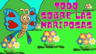 LAS MARIPOSAS para niñosTODO SOBRE LAS MARIPOSASESPAÑOLincluye adivinanza y poesía [upl. by Etnomaj]