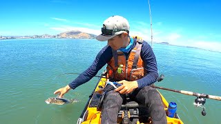 The MOST Halibut I have EVER CAUGHT  Commercial Fishing in the San Francisco Bay [upl. by Elatan]