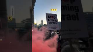 Protesters in London shutdown the citys famous Tower Bridge [upl. by Hephzibah394]