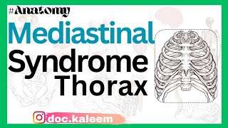 Mediastinal Syndrome Thorax clinical anatomy dysphagia dyspnoea dysphonia Med Guide Series [upl. by Knuth]