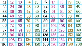 Tables 11 to 20 11 se 20 tak tables multiplication tables 11 to 20 easy learning 20 tak pahade [upl. by Rehpinnej]