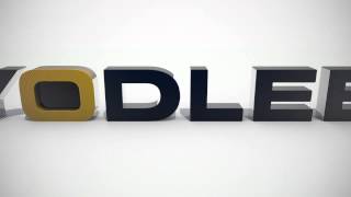 The Power of Yodlee Data [upl. by Oicam]