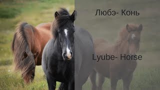 Learn Russian with Songs  Lyube Horse  Любэ Конь [upl. by Geraldine962]