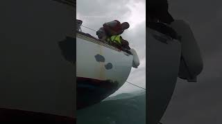 Man dog rescued off FL coast as Hurricane Helene approached [upl. by Matthiew665]