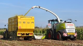 Claas Jaguar 970  Loonw BaekeWillems  mais 2012 [upl. by Fidelity]