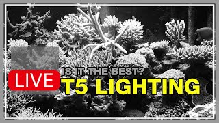 T5 Lighting Is Ideal for Reef Tank Biology amp Replicating the Sky But It Is Not the Future [upl. by Berky473]