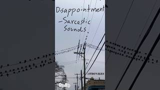 😔 Disappointment  Sarcastic Sounds [upl. by Isa]