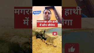 हाथी vs मगरमच्छ trending funny upsc comedy duet army saleem Short viral [upl. by Nomihs357]