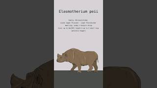 ELASMOTHERIUM PEII RHINOCEROS DATA  Prehistoric Rhinos  Extinct Animals [upl. by Targett]