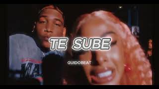 TE SUBE TYPE BEAT Yailin La Mas Viral X KreizyK X Sicokario  INSTRUMENTAL DE DEMBOW  Dale 2 [upl. by Gloria956]