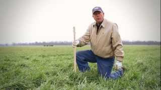 Using a Grazing Stick to Determine Stocking Rates on Winter Pasture [upl. by Dustin]