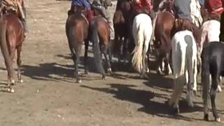 Buzkashi match Kabul [upl. by Arlyne]