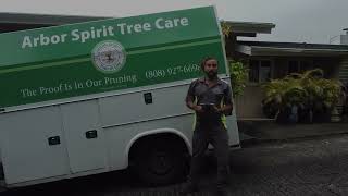 Arbor Spirit Tree Care The Proof Is in Our Pruning [upl. by Laurentia]