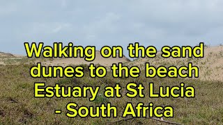 St Lucia Estuary walk through sand dunes to the beach at St Lucia at entrance of Umfolozi river [upl. by Nob]