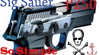 SIG P250 Review After a good Range [upl. by Delanos]