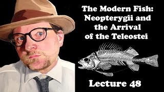 Lecture 48 The Modern Fish Neopterygii and the Arrival of the Teleostei [upl. by Lia779]